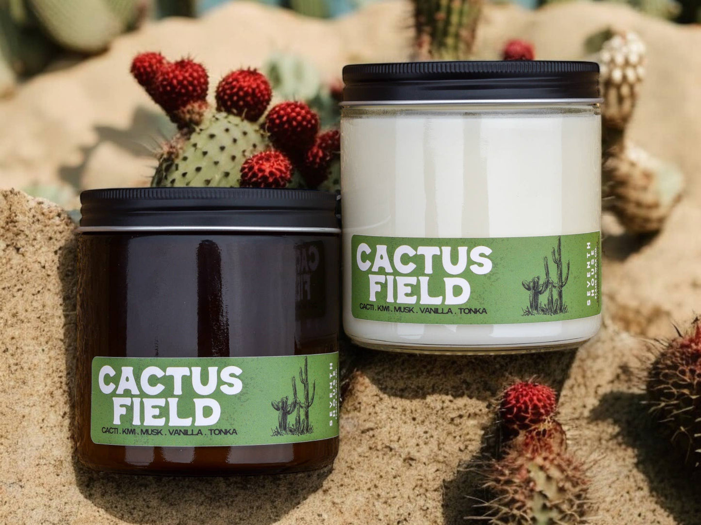 Buy 1 (one) Cactus Field candle made with a double organic cotton wick.