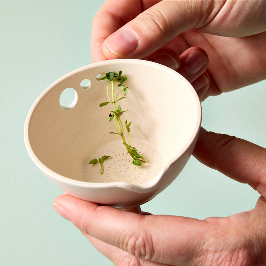 Use the built-in holes to strip tender herb leaves from their stems.