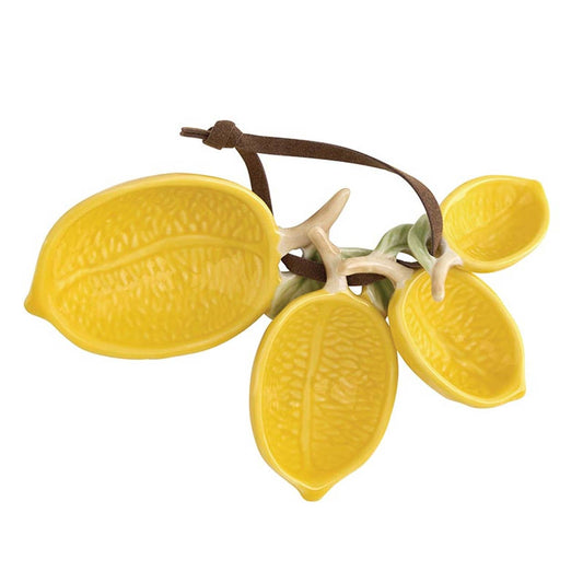 The lemon measuring spoon set is tied together with an attractive leather string.