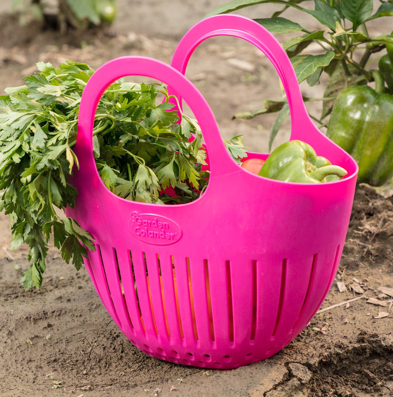 The mini garden colander is perfect for harvesting veggies and herbs.