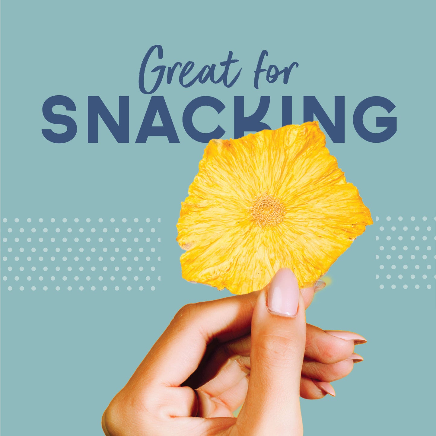 Buy 1 (one) box of dried pinepple slices and enjoy them for snacking.