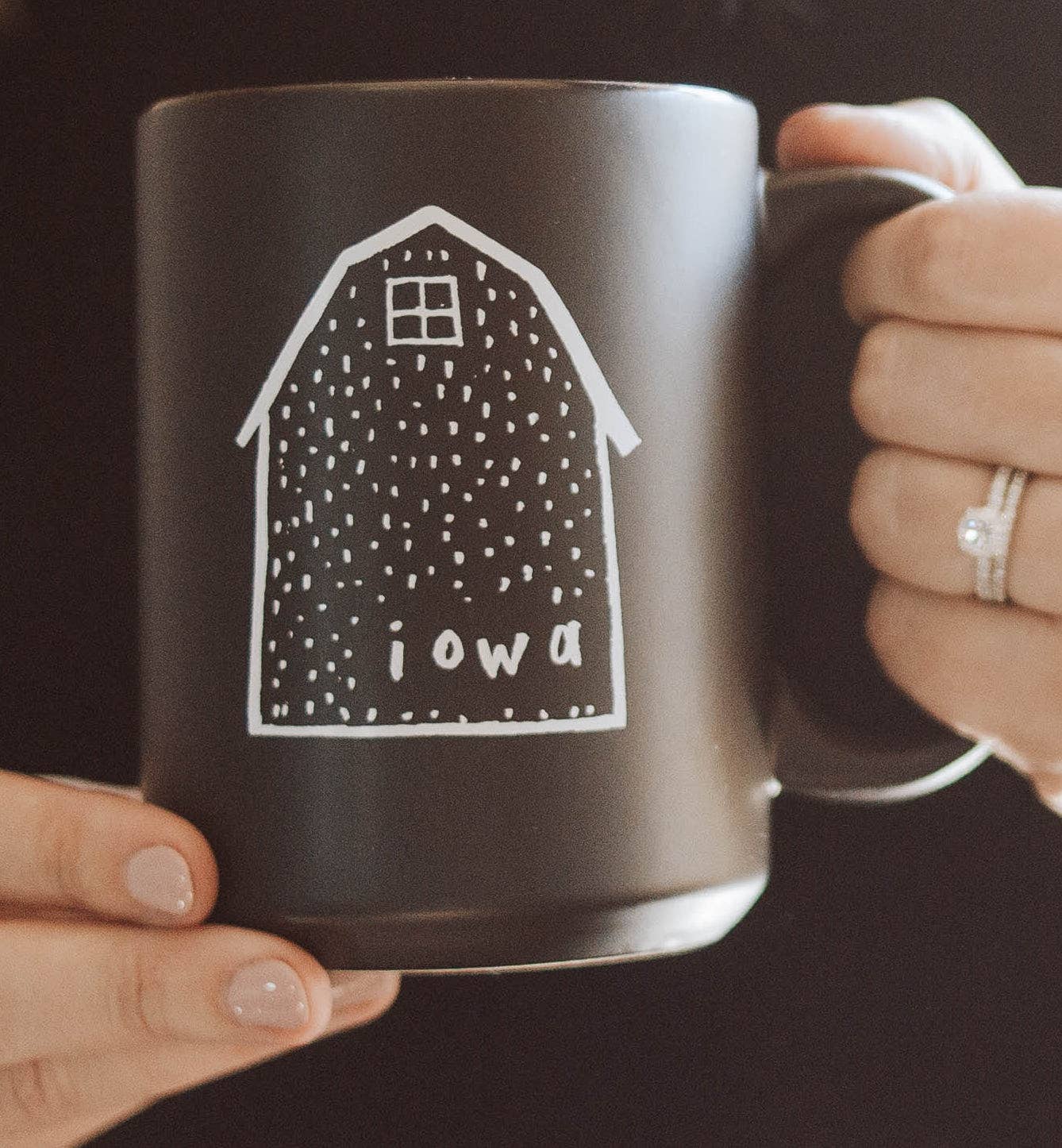 Iowa barn mug in matte black