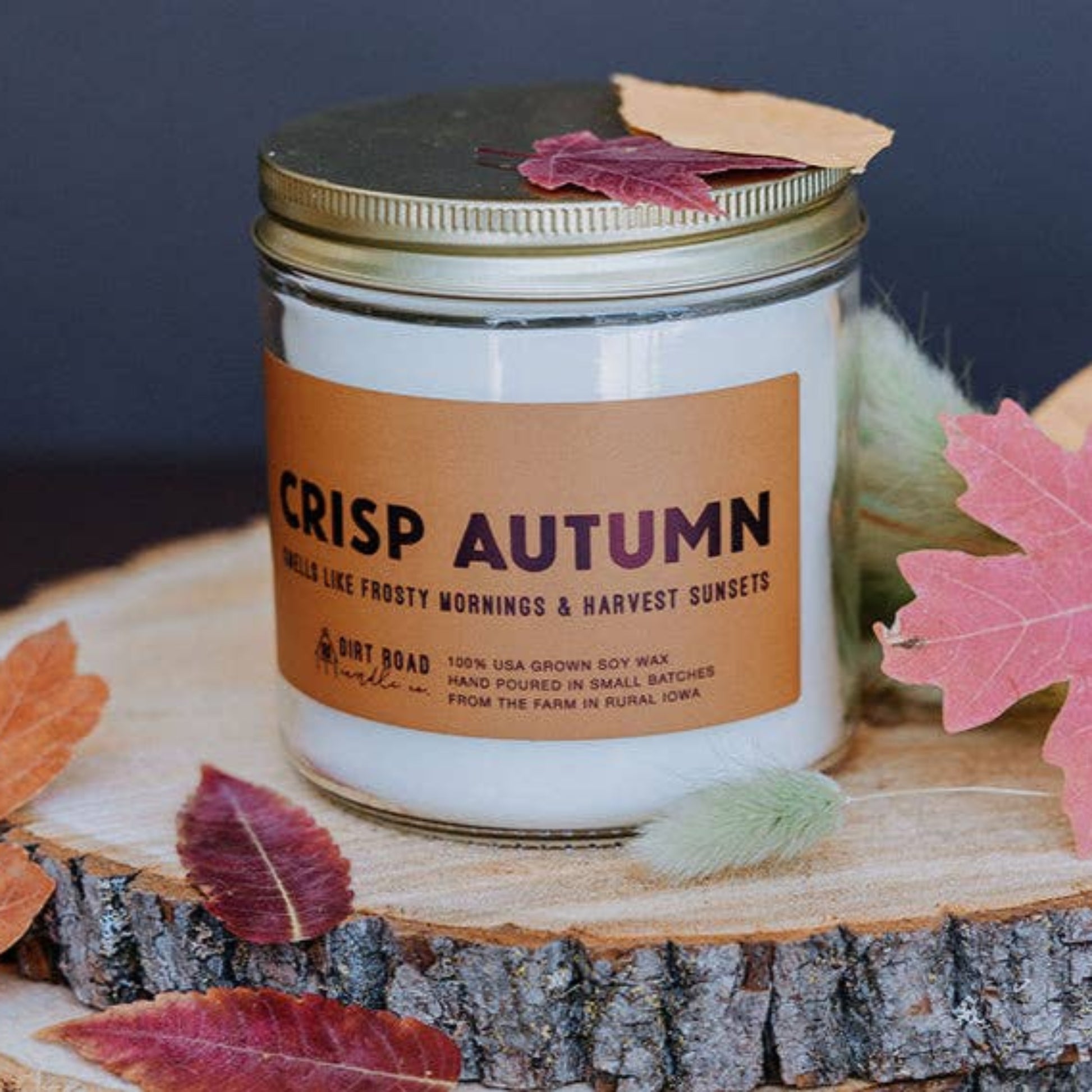 Buy 1 (one) Crisp Autumn candle made with 100% USA-grown soy wax. 