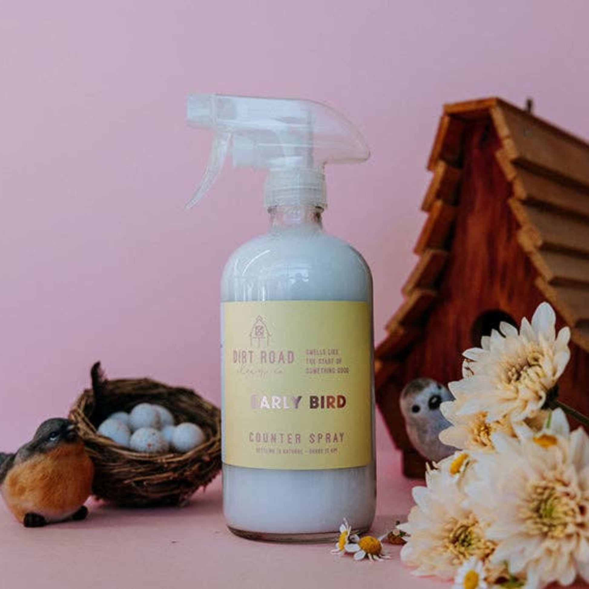 Buy 1 (one) bottle of scented counter cleaning spray. 