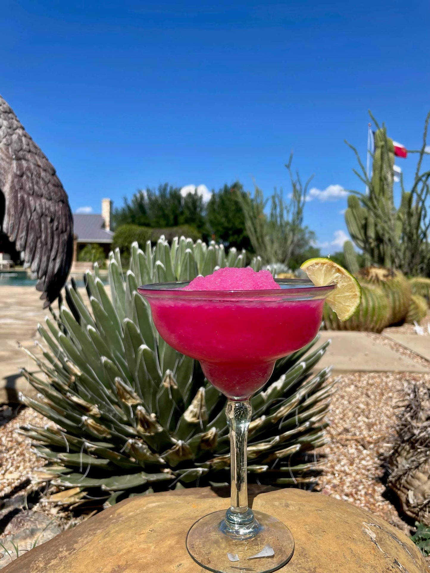 Use this prickly pear syrup to make a prickly pear blended mocktail.