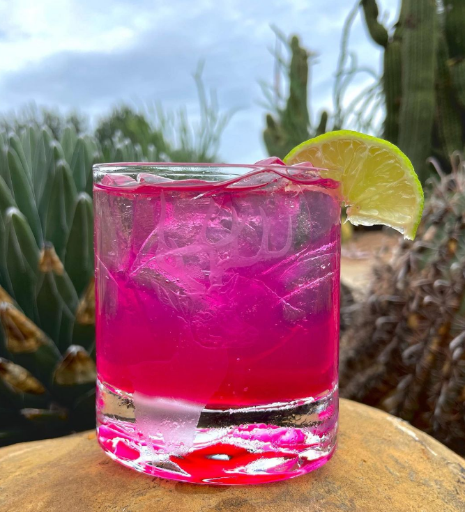 Your margarita will be a vibrant pink with this naturally-colored prickly pear simple syrup.