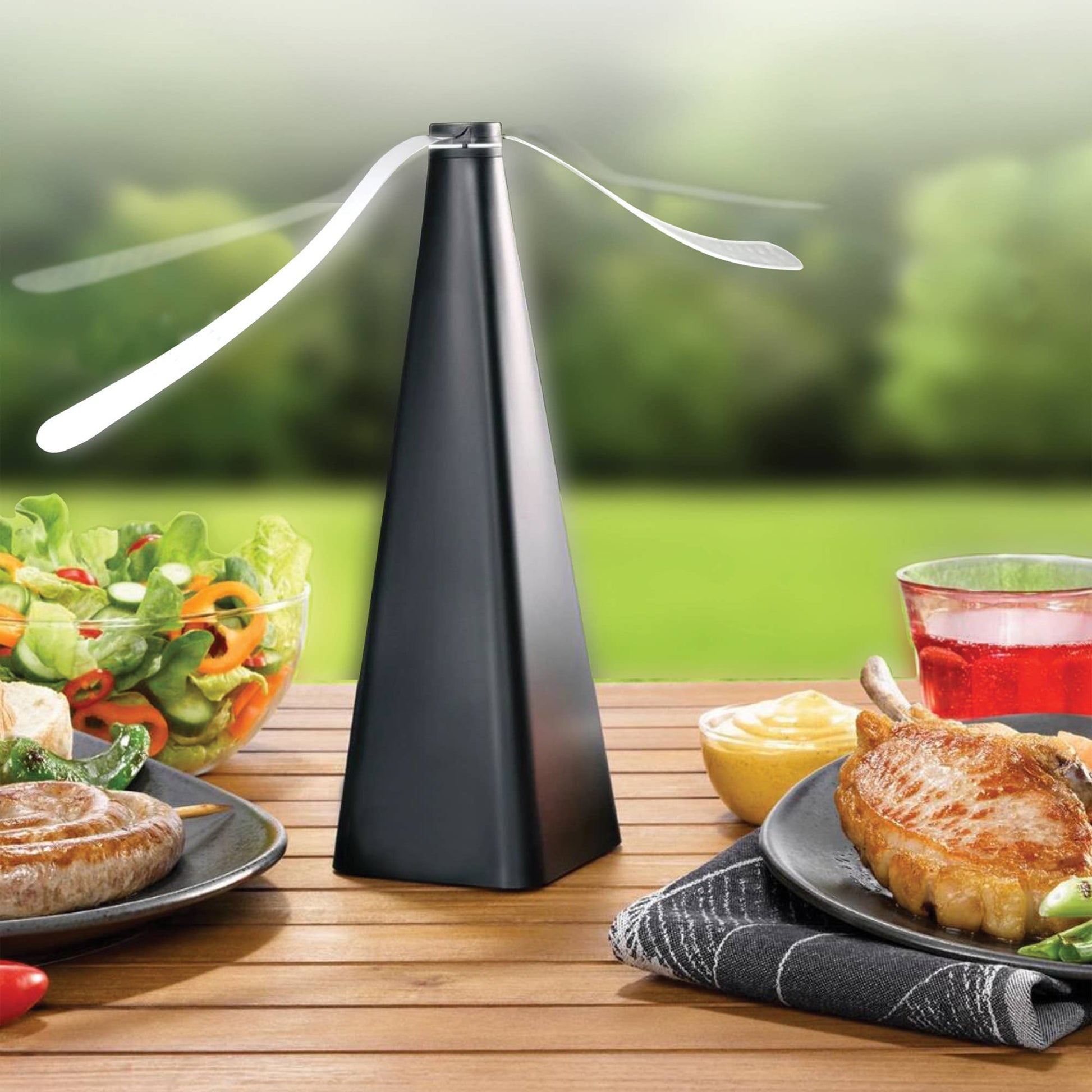 Buy 1 (one) rechargeable bug repellent fan.