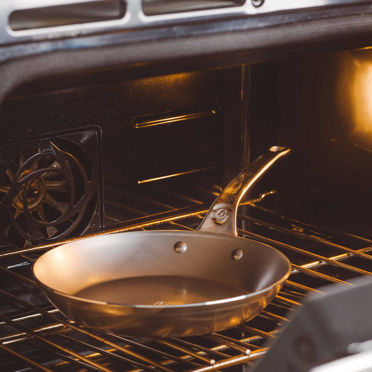 The de Buyer MINERAL B Pro skillet is oven safe. 